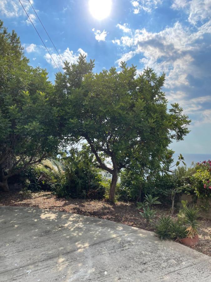 Casa Vacanze Piedigrotta Villa Pizzo  Exteriör bild